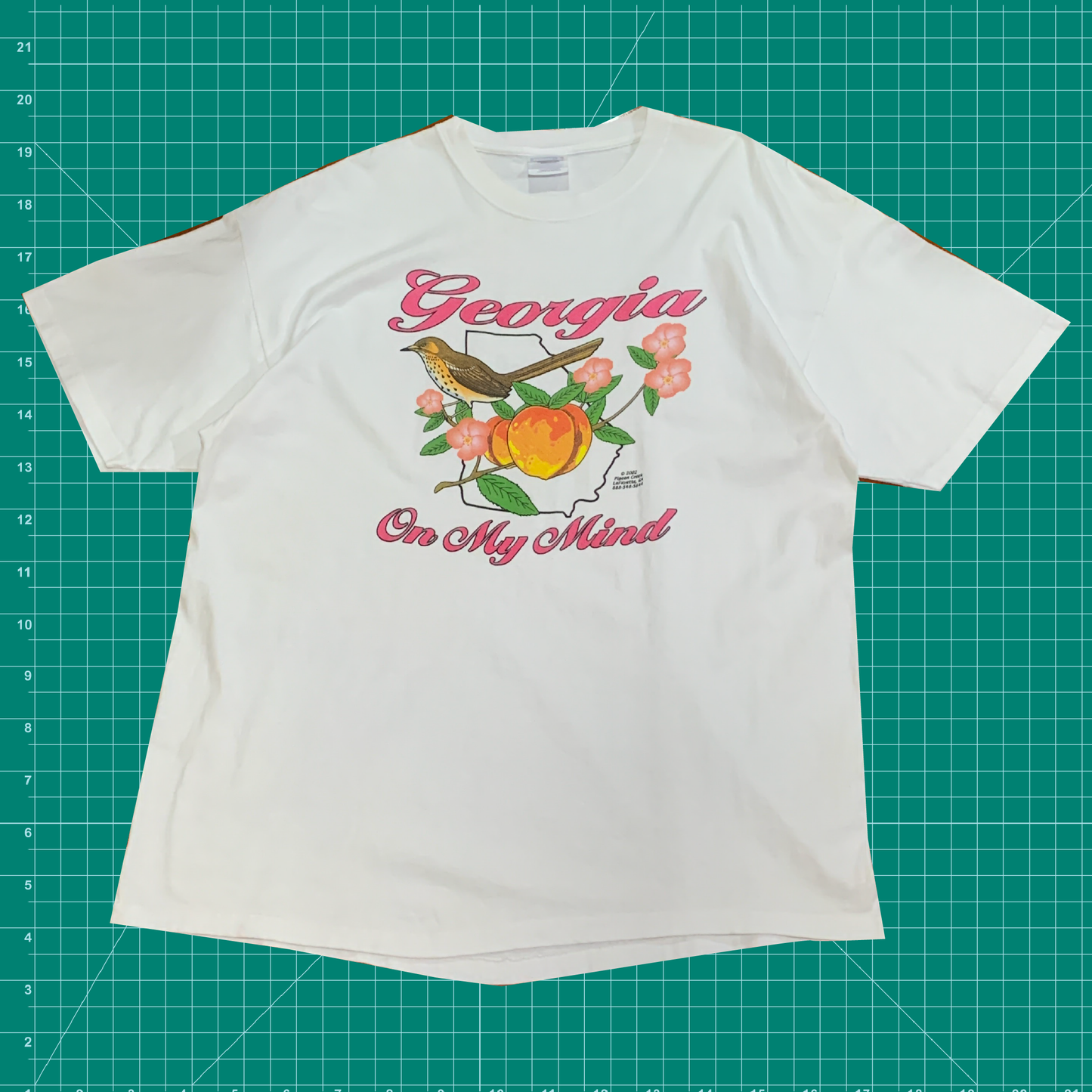 Vintage Hanes "Georgia On My Mind" Tee