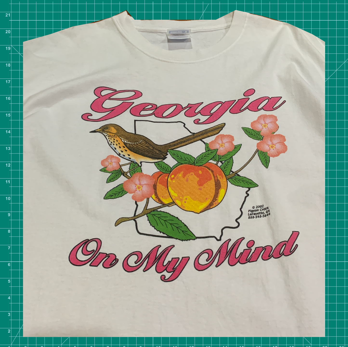 Vintage Hanes "Georgia On My Mind" Tee